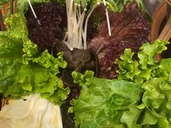 -南门四季铜锅涮肉(左家庄店)
