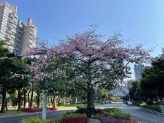 -宝能·all city(南山店)