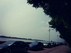 -大湾区中央湿地公园-十九涌