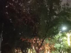 -曲江惠宾苑宾馆(大雁塔大唐不夜城店)