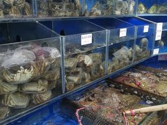 水产区-张树军海鲜(王府壹号店)