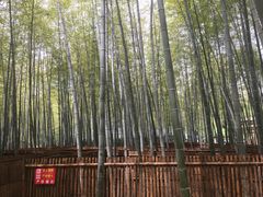 景点-陶祖圣境风景区