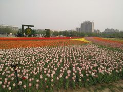 -廊坊文化艺术中心