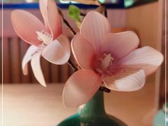 -沅江水·湖南家宴(南村万博长隆商圈店)