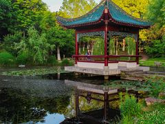 -月湖风景区