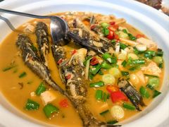 -佬肥猫(七宝宝龙店)