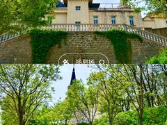 -北京张裕爱斐堡酒庄