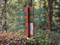 -杭州半山国家森林公园