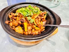 -朱记乳鸽王·非遗石岐乳鸽·全鸽宴(大兴旗舰店)