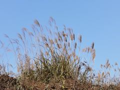 -铜锣山矿山公园