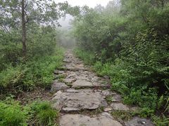 -阳台山自然风景区