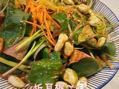 折耳根-香叶草中餐厅(川白楼店)