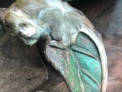 -皇家极地海洋世界-售票处