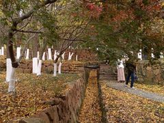 -白马涧龙池景区
