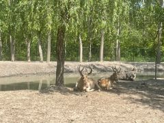 -溱湖国家湿地公园