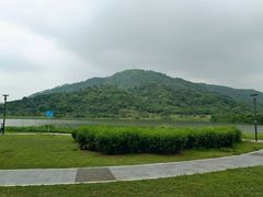 -风云岭森林公园