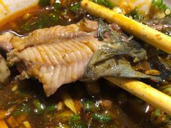 -蜀滋香鲜鱼美蛙火锅(339店)