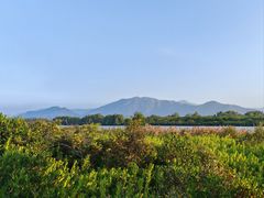 -福田红树林生态公园