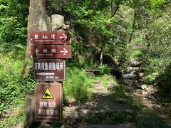 -少华山国家森林公园