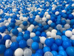 -爱丽丝奇幻乐园