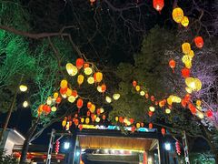 -天目湖山水园