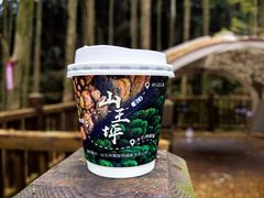 -山王坪喀斯特国家生态公园