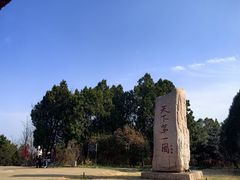 -抱犊崮国家森林公园