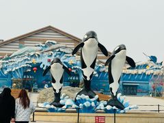 -石家庄极地海洋世界
