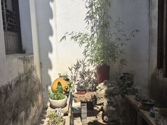 -月栖华明-云间草堂清茶馆(泗泾古镇店)