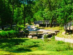 -白水寺森林公园