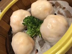 -粤港餐厅(禹州商业广场店)