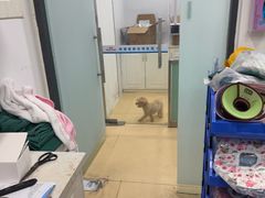 -海门爱心宠物医院