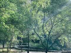 -龙门涧景区