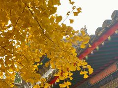 -承恩寺