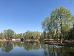 -石家庄市植物园