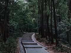 -广州市白云山风景名胜区