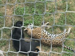 -石家庄市动物园