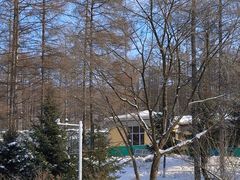 -横道河子东北虎林园