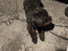 -金铂广场(龙归店)