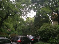 -申粤轩酒楼·三十年粤菜经典(丁香花园店)