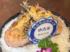-东海怡品海鲜豆捞(舟宿夜江店)