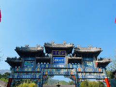 -荣德灶台鱼(圣泉寺店)