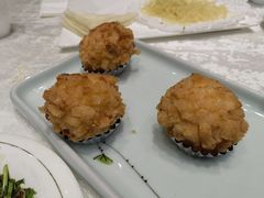 -丁老爷子苏香圆
