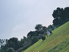 -东湖落雁景区
