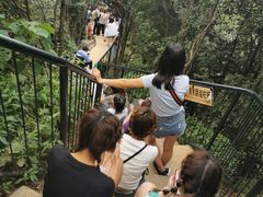 -梦幻奥陶纪景区