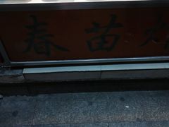 -春苗炸鸡