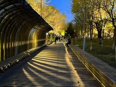 -长白岛森林公园