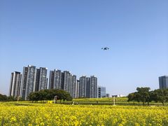 -光明小镇欢乐田园