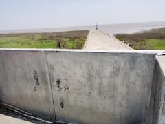 -南汇嘴观海公园