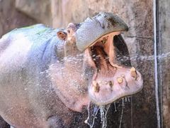 -沈阳森林动物园